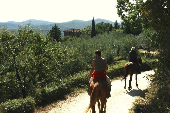 Horse Riding in Tuscany for Experienced Riders: Full-day Trail Ride - Through woods, streams, and open Tuscan ground