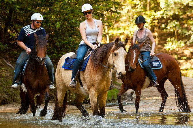 Horse Riding, Koalas & Kangaroos - Wild Australia: Private Tour - Key points at a glance
