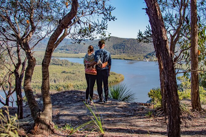 Horse Riding, Koalas & Kangaroos - Wild Australia: Private Tour - Berowra bushland and Aboriginal carvings