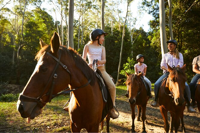 Horse Riding, Koalas & Kangaroos - Wild Australia: Private Tour - Bulgandry Aboriginal Engraving Site