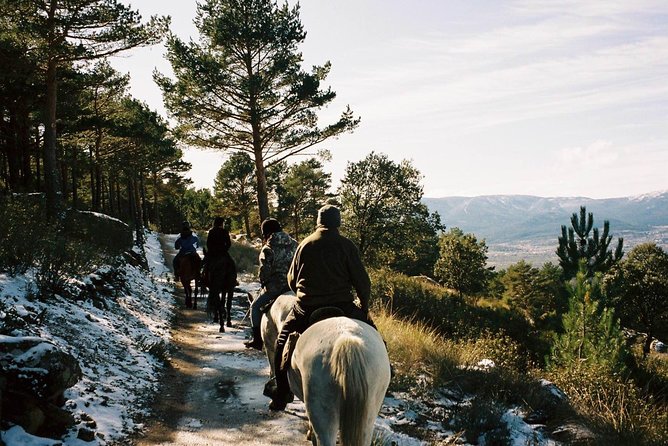 Horse Riding Madrid Natural Park - Key points to know before you book