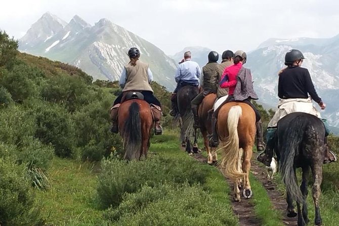 Horse Riding Madrid Natural Park (long Trip) - Leaving Madrid for the Sierra de Guadarrama