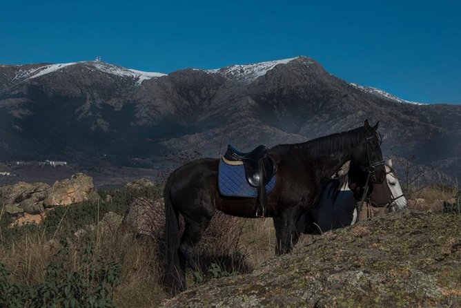 Horse Riding Madrid Natural Park (long Trip) - What the terrain feels like from the saddle