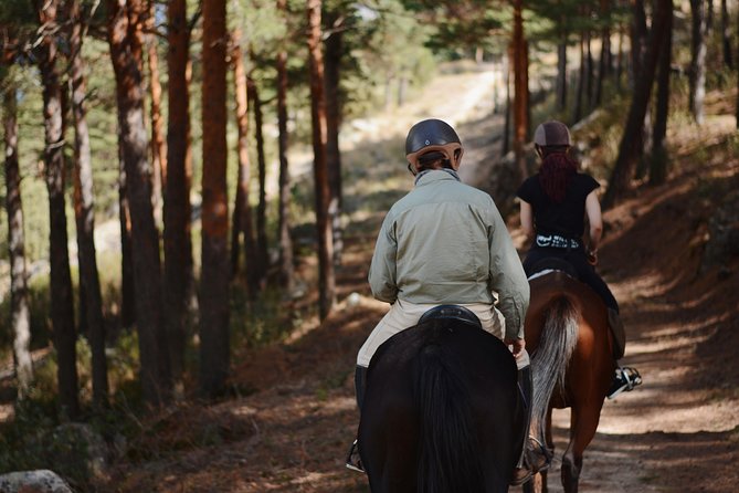 Horse Riding Madrid Natural Park - Meeting Mariano and the horses
