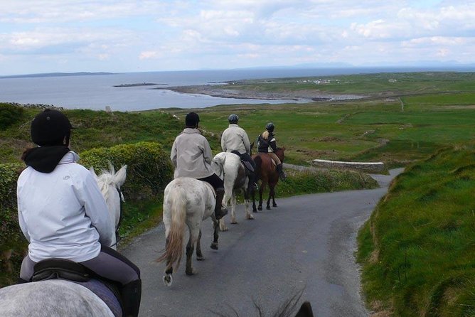 Horse riding - Mountain Trail. Lisdoonvarna, Co Clare. Guided. 2 hours. - Key points at a glance