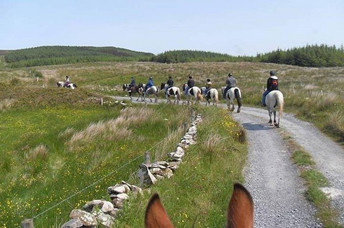 Horse riding - Mountain Trail. Lisdoonvarna, Co Clare. Guided. 2 hours. - How the guides handle mixed ability levels