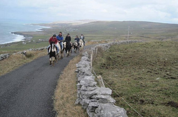 Horse riding - Mountain Trail. Lisdoonvarna, Co Clare. Guided. 2 hours. - Horse care is part of the experience
