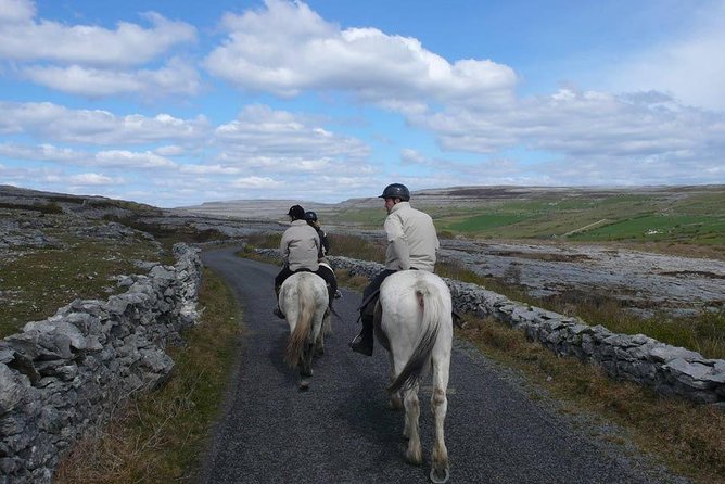 Horse riding - Mountain Trail. Lisdoonvarna, Co Clare. Guided. 2 hours. - Climbing toward the Wild Atlantic Way