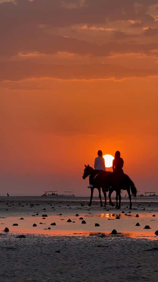 Horse Riding Muscat | Beach Horse Riding - What makes this beach ride worth considering
