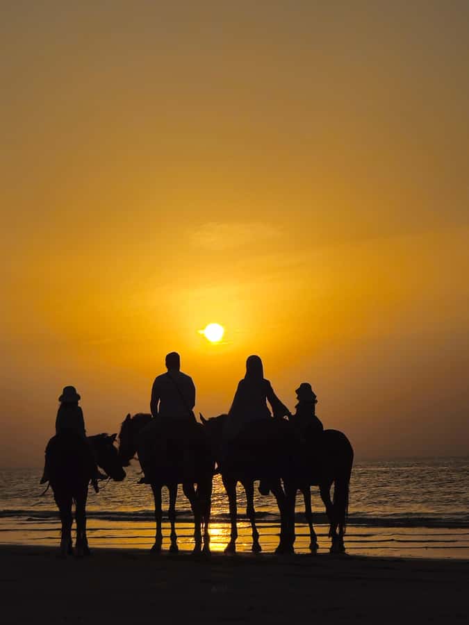 Horse Riding Muscat | Beach Horse Riding - Reaching Al Sawadi from Muscat