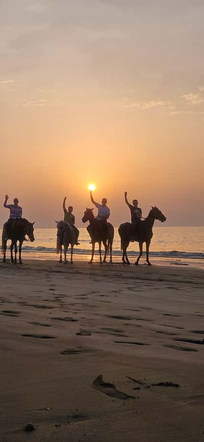 Horse Riding Muscat | Beach Horse Riding - One hour along Al Sawadi Beach