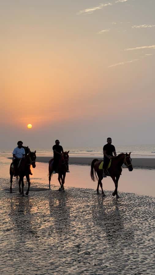 Horse Riding Muscat | Beach Horse Riding - Why sunset is the best time to book