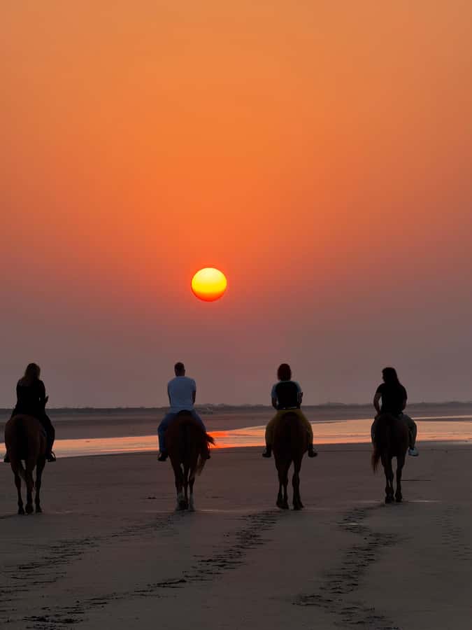 Horse Riding Muscat | Beach Horse Riding - The horses and the human touch