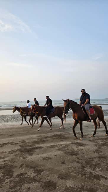 Horse Riding Muscat | Beach Horse Riding - Price, timing, and practical value