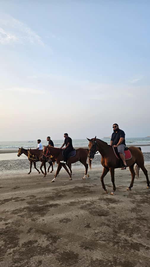Horse Riding Muscat | Beach Horse Riding - What to bring and what to expect