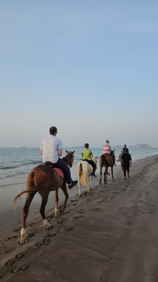 Horse Riding Muscat | Beach Horse Riding - Getting settled with the horses