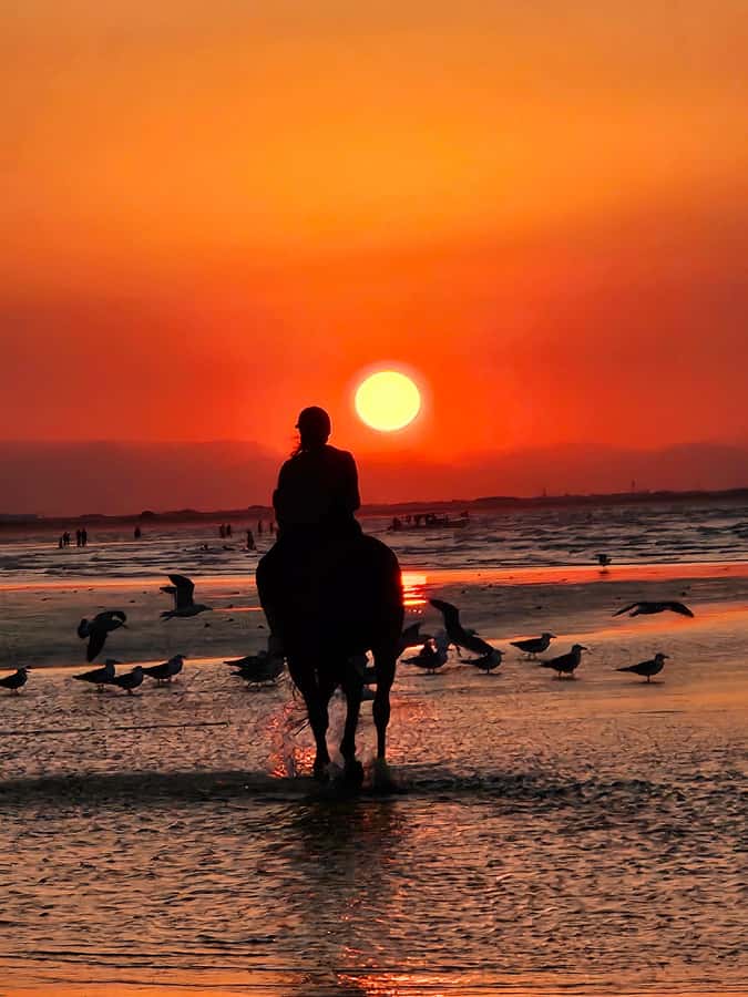 Horse Riding Oman - 2 hour ride - Why Al Sawadi Beach makes the ride worthwhile