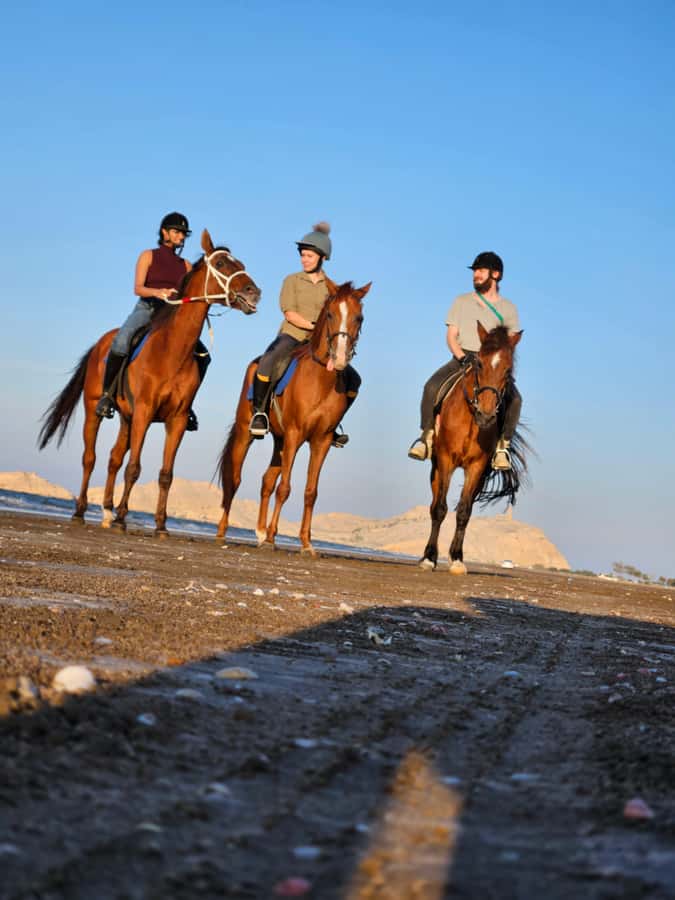 Horse Riding Oman - 2 hour ride - Sunrise and sunset rides on the sand