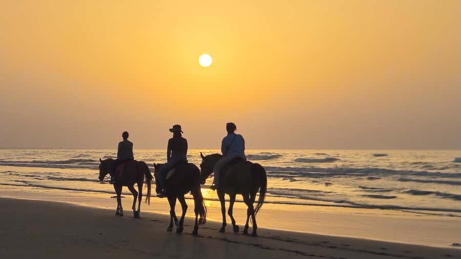 Horse Riding Oman - 2 hour ride - How the ride works for beginners