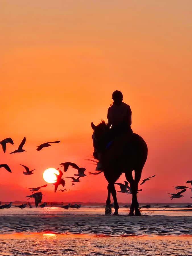 Horse Riding Oman - 2 hour ride - The guides and the personal side of the outing