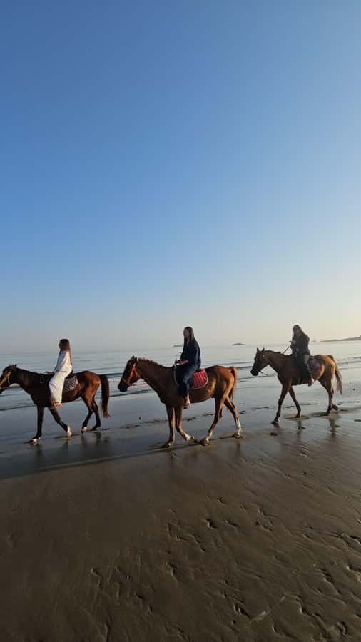 Horse Riding Oman - 2 hour ride - Is $140 a fair price?