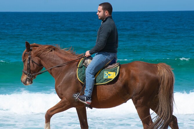 Horse Riding on Melides Beach - From sandy forest paths to Praia de Melides
