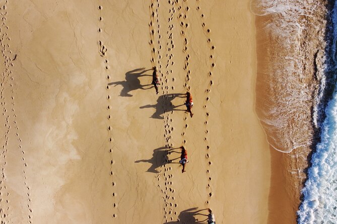 Horse Riding on Melides Beach - Weather can change the plan