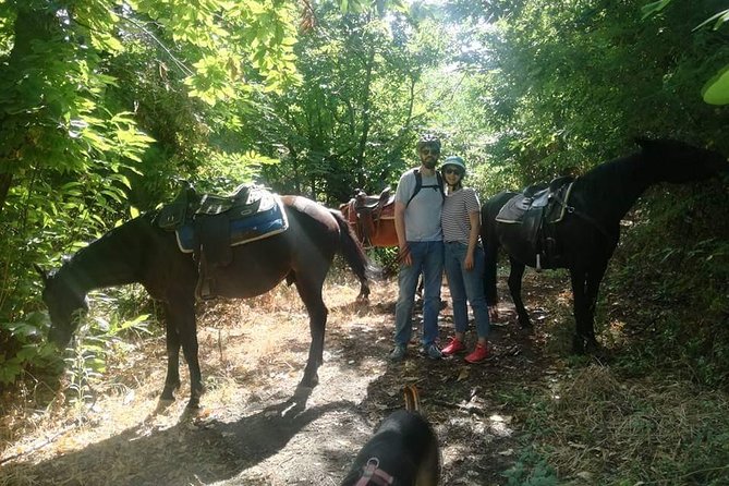 Horse Riding on Mount Vesuvius - A quieter way to meet Mount Vesuvius