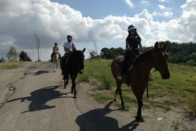 Horse Riding on Mount Vesuvius - An hour through Vesuvius National Park