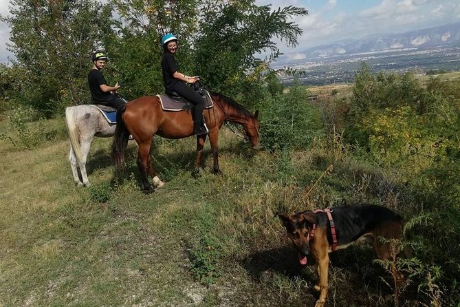 Horse Riding on Mount Vesuvius - The aperitif is part of the experience
