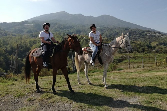 Horse Riding on Mount Vesuvius - What the $84.48 price includes in practical terms