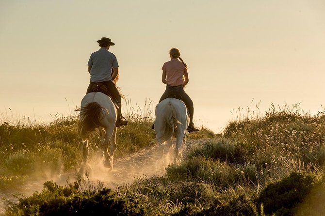 Horse Riding on the Beach - From Melides pine forest to the Atlantic