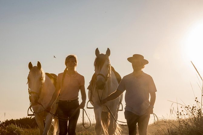 Horse Riding on the Beach - What the pace means for beginners and experienced riders