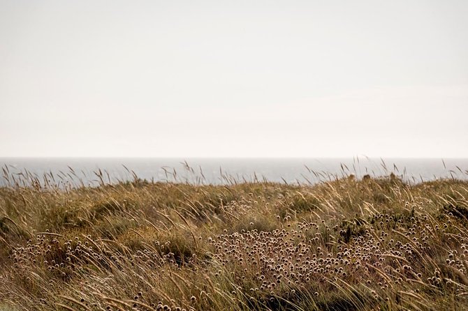 Horse Riding on the Beach - Who will enjoy this and who may not