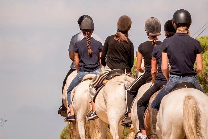 Horse Riding on the Beach - Weather, timing, and what to plan around