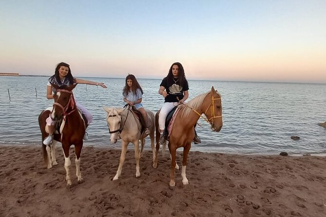 Horse Riding on the Beach And Desert 3 hours From Hurghada - Photos, phones, and an important extra-cost question