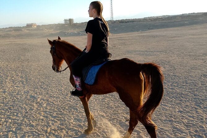 Horse Riding on the Beach And Desert 3 hours From Hurghada - Who will enjoy this ride most?