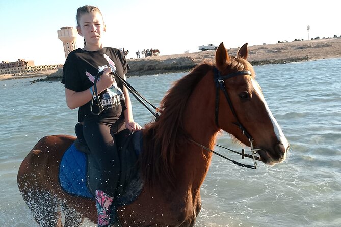 Horse Riding on the Beach And Desert 3 hours From Hurghada - What to bring and how to prepare