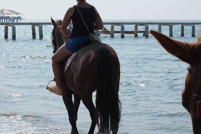Horse Riding on the Beach in Side - The hotel pickup from Side