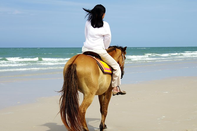 Horse Riding on the Beach in Side - Two hours through the pine forest