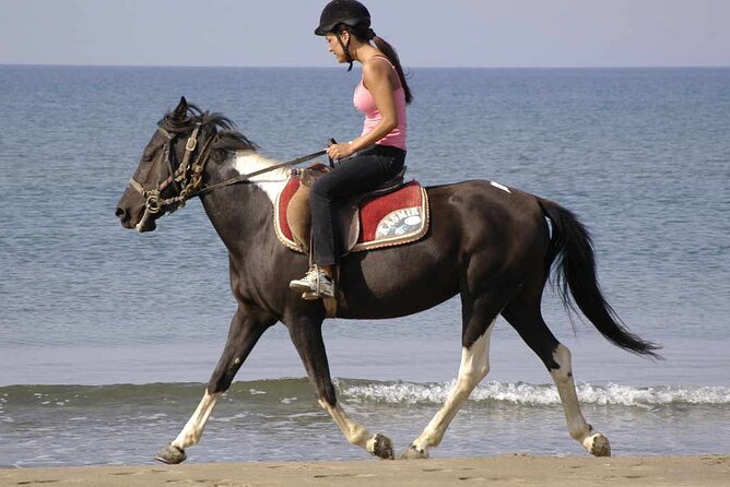 Horse Riding on the Beach in Side - What the $91.92 price includes
