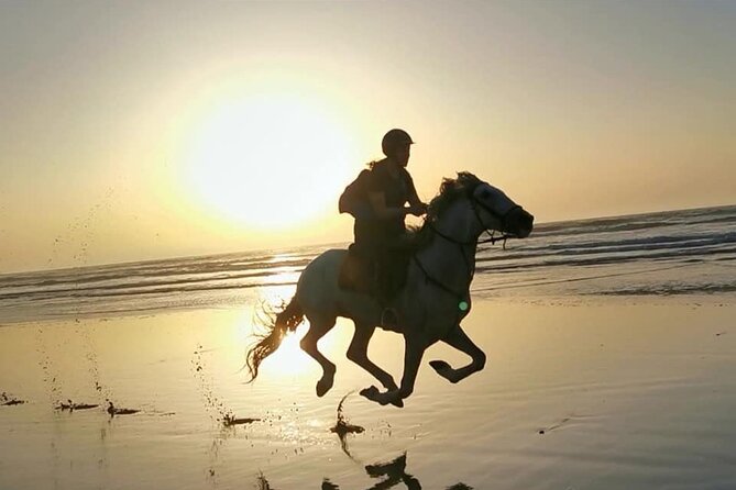 Horse riding on the beach of Essaouira 2 hours - Key points to know before you book