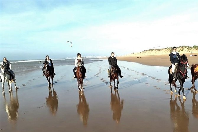 Horse riding on the beach of Essaouira 3 hours - Key points at a glance