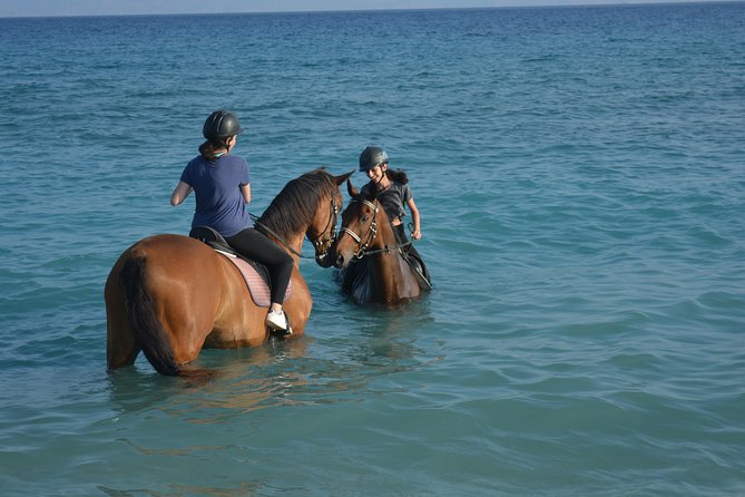 Horse riding on the Beach, Rhodes - Key points before you book