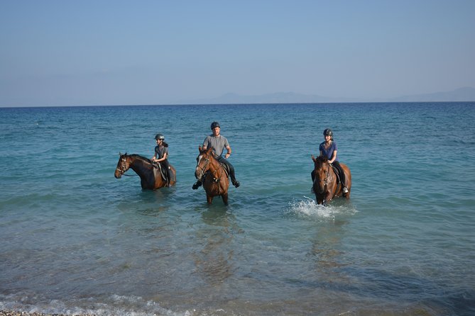 Horse riding on the Beach, Rhodes - What the one-hour route is really like