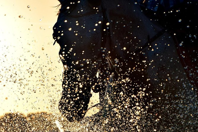 Horse riding on the Beach, Rhodes - First-time riders and experienced riders