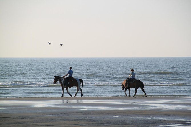 Horse riding on the Beach, Rhodes - Horses, safety, and group size