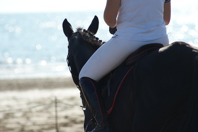 Horse riding on the Beach, Rhodes - What the $133.12 price gets you