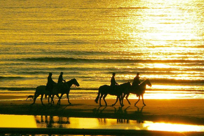 Horse riding on the Beach, Rhodes - Who should book this Rhodes activity