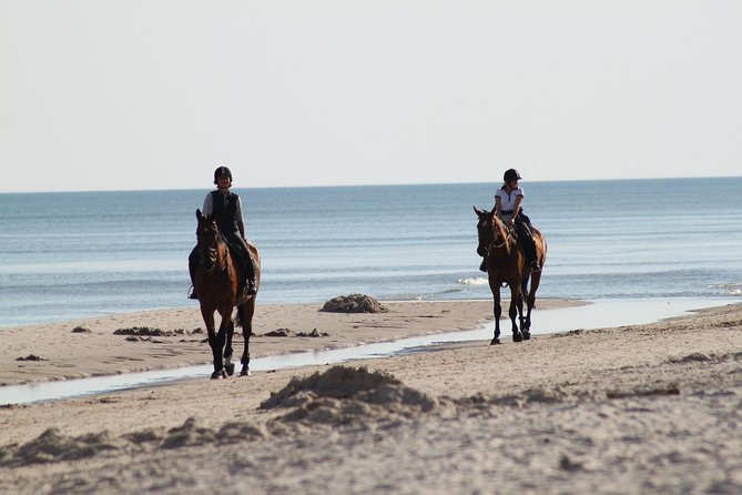 Horse riding on the Beach, Rhodes - Practical details that can change the experience